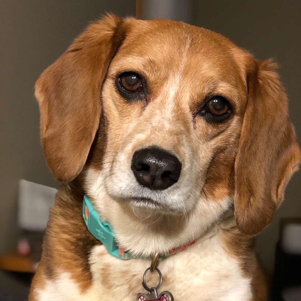 Meet your Posher, Shelly